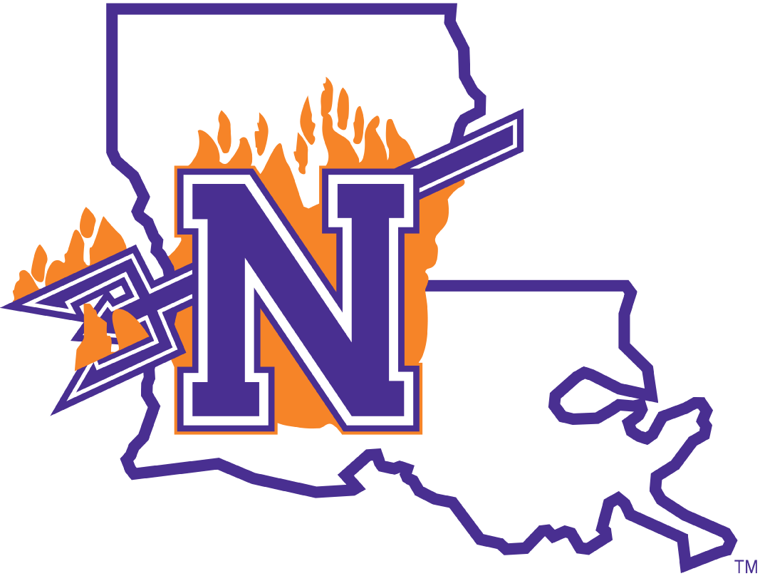 Northwestern State Demons 2008-2013 Primary Logo diy fabric transfer